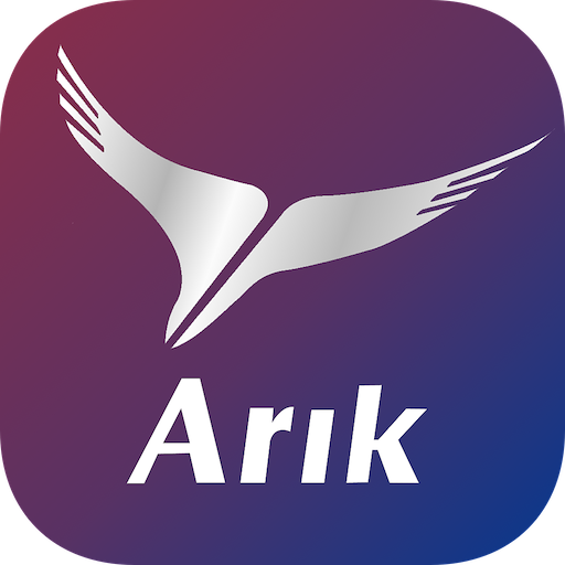 arik-1